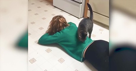 Cat Comforts Owner When She Cries