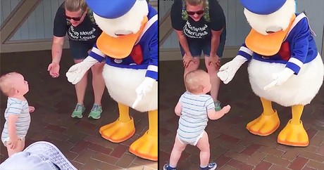 Donald Duck Helps Baby Take First Steps