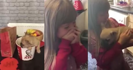 Heart-warming Video Shows Amazing Puppy Surprise for Young Girl
