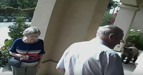 Elderly Couple Doesn't Notice The Live Bear On The Porch