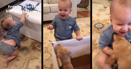 Baby Boy Is Over The Moon After Receiving Furry Birthday Present