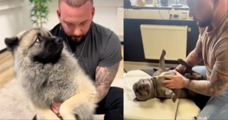 Animals Hilariously React To Dog Chiropractor