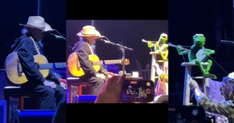 Willie Nelson And Kermit The Frog Sweet 'Rainbow Connection' Duet