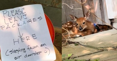 Someone Left a Note for the Delivery Driver, and the Why Will Melt Your Heart