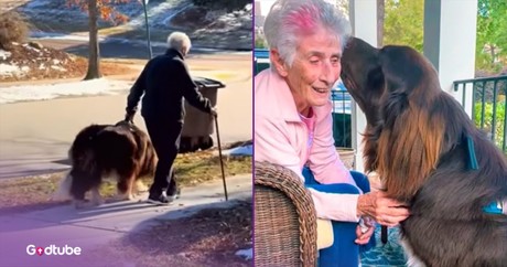 Elderly Woman’s Adorable Gardening Assistant Will Melt Your Heart