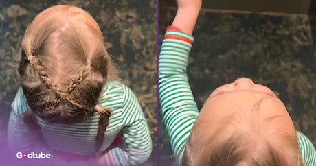 This Little One Tells Doors What to Do—and It’s Hilarious