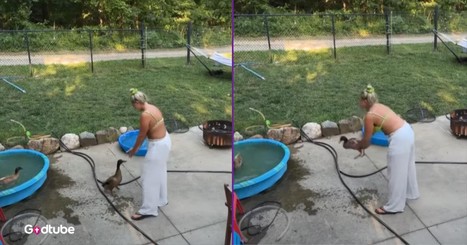 You Won’t Believe What This Duck Loves—And It’s Absolutely Adorable
