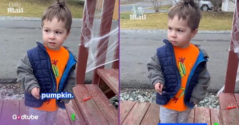 This Toddler’s Reaction to Destroyed Pumpkin Is Comedy Gold