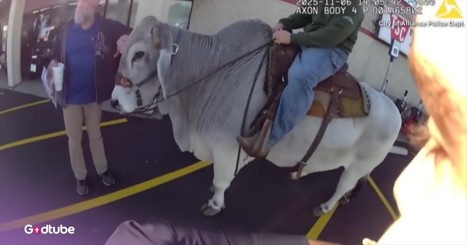 This Officer’s Reaction to an Unusual Call Will Brighten Your Day