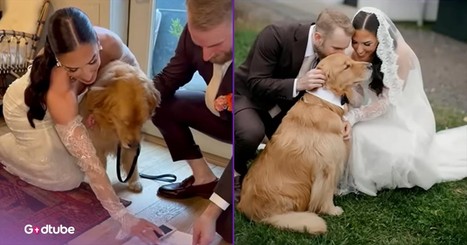 You’ll Love How This Couple Involved Their Dog in Their Big Day