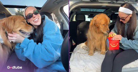 You’ll Melt Watching This Pup Enjoy Its Special Birthday Treat