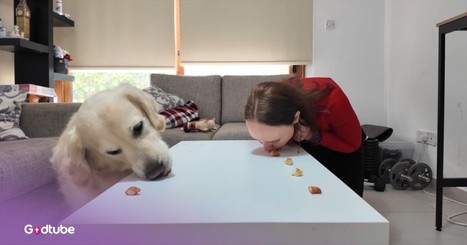 This Eating Challenge was Supposed to Be a Competition, but It was Anything but