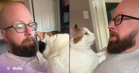 This Cat’s Adorable Morning Routine Will Make Your Day