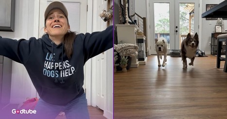 Think Your Dog Loves You Most? These Pups Might Make You Rethink That