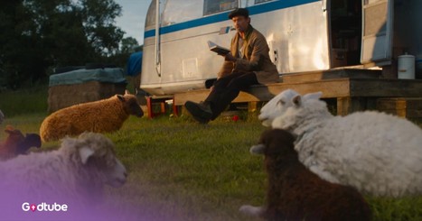 Animals Are on the Case in the Trailer for “The Sheep Detectives’