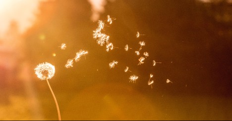 God's Steady Hand in Changing Seasons - Your Daily Prayer - August 20