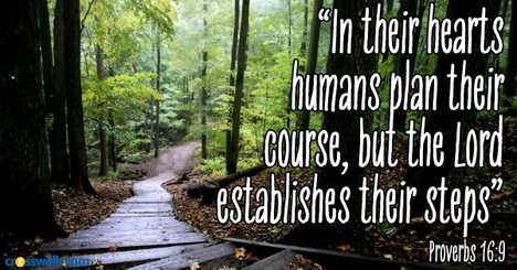 Proverbs 16:9 w/ Sarah Hamaker - Crosswalk PLUS Video Devotional for May 10, 2025