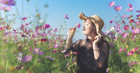 Dwelling with the Lord in the Land of the Living - The Crosswalk Devotional - November 3