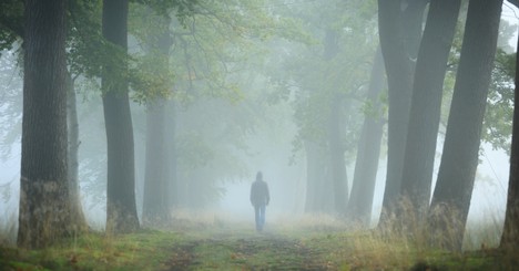 When The Path Ahead Is Cloudy - The Crosswalk Devotional - June 21 