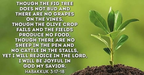 Habakkuk 3:17-19 w/ Amanda Idleman - Crosswalk PLUS Video Devotional for May 17, 2025