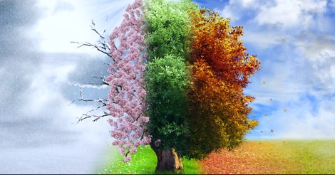 A Prayer to See God’s Blessings in Every Season - Your Daily Prayer - November 19