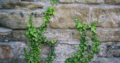 A Prayer When You Have Hit the Wall - Your Daily Prayer - July 5