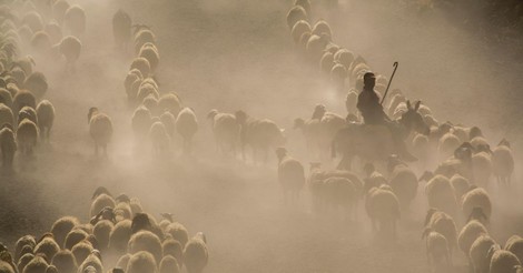 The Source of Our Strength  - Greg Laurie Devotion - February 21, 2026