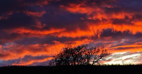 Why Does God Call Himself "I Am Who I Am"?