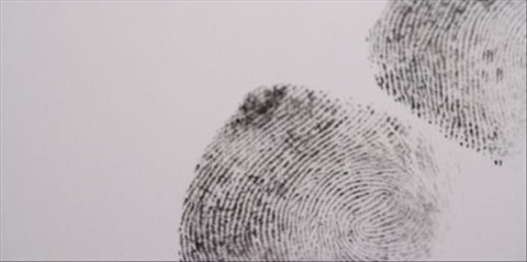 He is Risen: Evidence beyond Reasonable Doubt