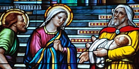 Figuring out the "Firstborn" in Colossians 1:18