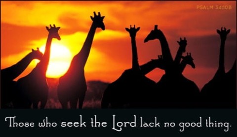 Seek the Lord