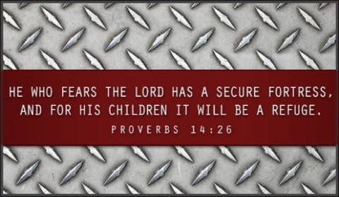 Proverbs 14:26