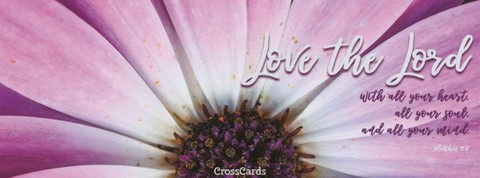 The Top Bible Verses About Fallen Angels In Scripture Bible Study Tools