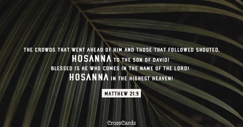 Matthew 21:9