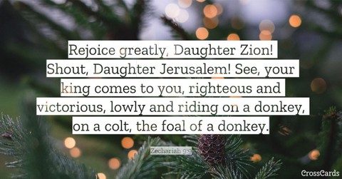 Zechariah 9:9
