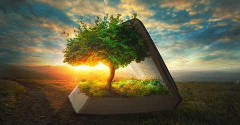 Why Should You Read the Book of Genesis in the Bible?
