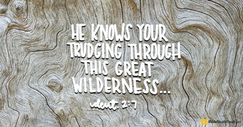With Us in the Wilderness (Deuteronomy 2:7) - Your Daily Bible Verse - September 11