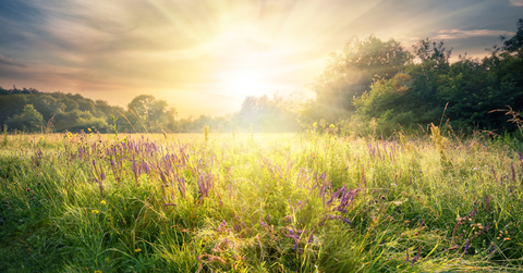 7 Ways God Is Your Healer
