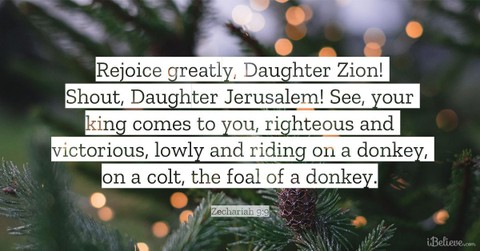 Your Daily Verse - Zechariah 9:9