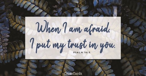 Your Daily Verse - Psalm 56:3