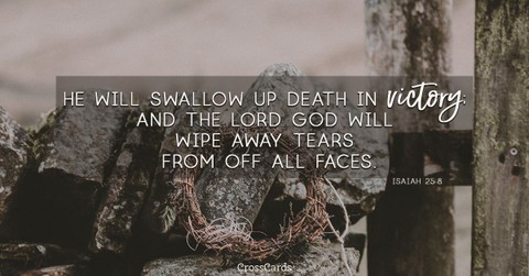 Your Daily Verse - Isaiah 25:8