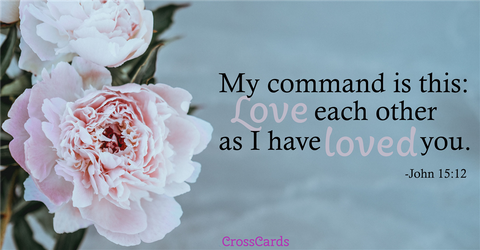 Your Daily Verse - John 15:12