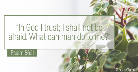 Psalm 56:11