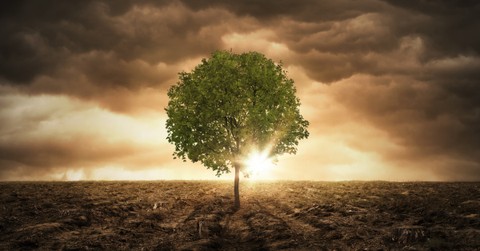 Why Is Faith Without Works Dead?