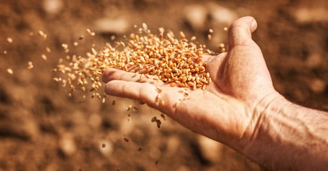 Walking the Parable of the Sower: Along the Path