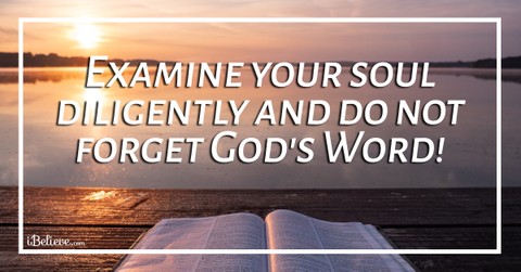 Do Not Forget What Your Eyes Have Seen - iBelieve Truth: A Devotional for Women - September 19