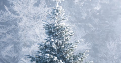 3 Ways to Pray through the Winter Season