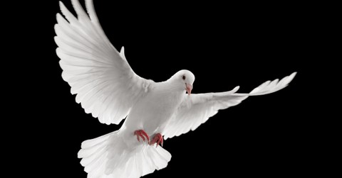 What Is Pneumatology and Why Do We Study the Holy Spirit?