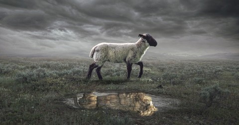 What Does It Mean that Jesus Is the Lamb of God?