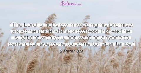 A Prayer to Our Longsuffering God - Your Daily Prayer - February 20